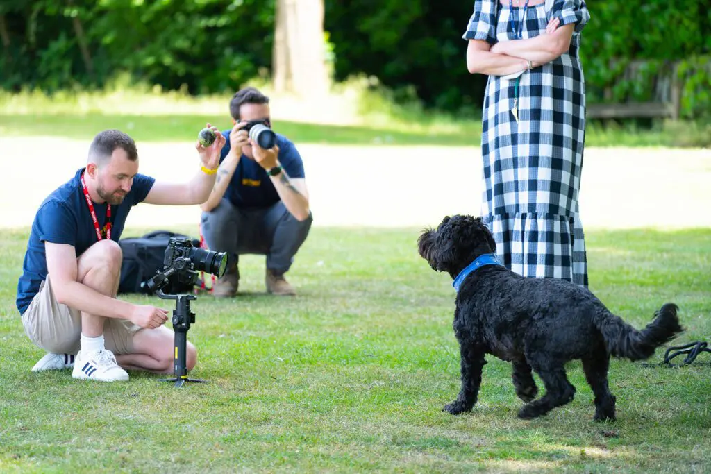 Bull & Wolf crew knelt down, holding a ball in the air to get the attention of the black dog they are filming