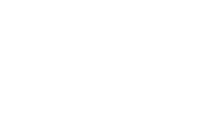 Stories and Ink Logo