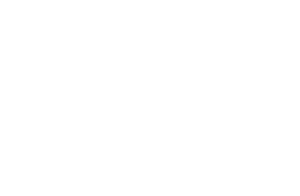 Wildanet Logo