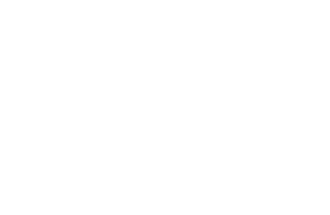 Sabio Logo