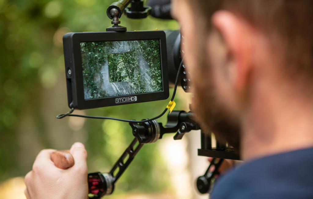 Filming a tree shot, view over cameramans shoulder onto screen