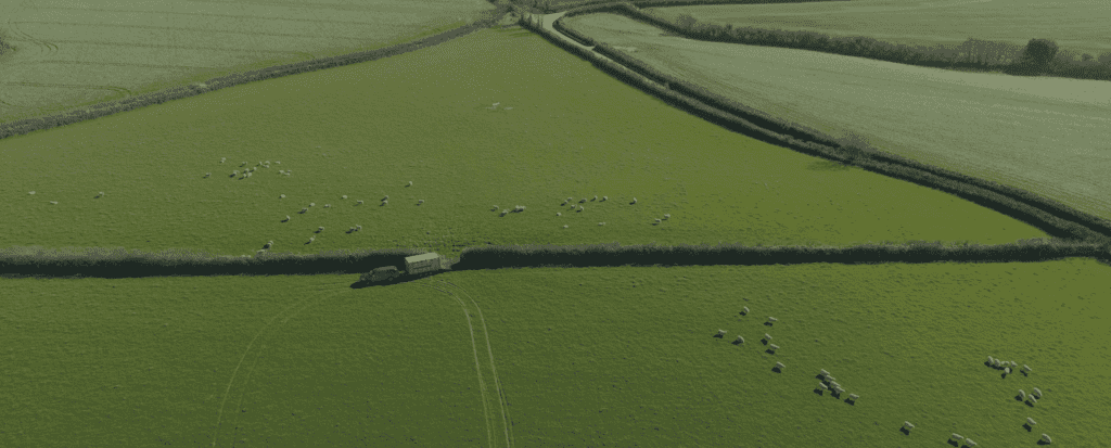 droner aerial shot of vast countryside