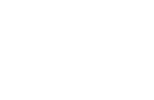 Stories and Ink Logo